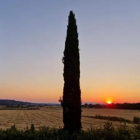 Agriturismo Il Canneto Casole d'Elsa Exterior photo