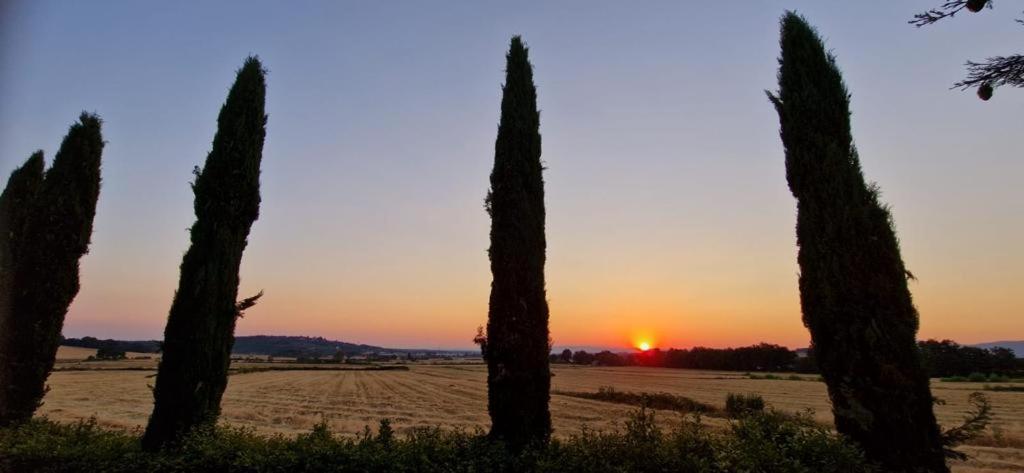 Il Canneto Casole d'Elsa